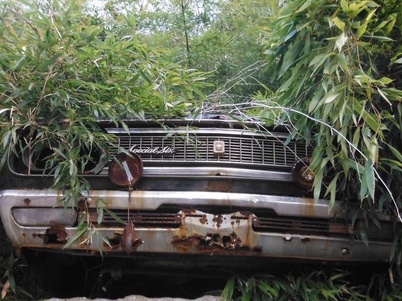 Illustration for article titled It is not over yet: Abandoned cars part 4